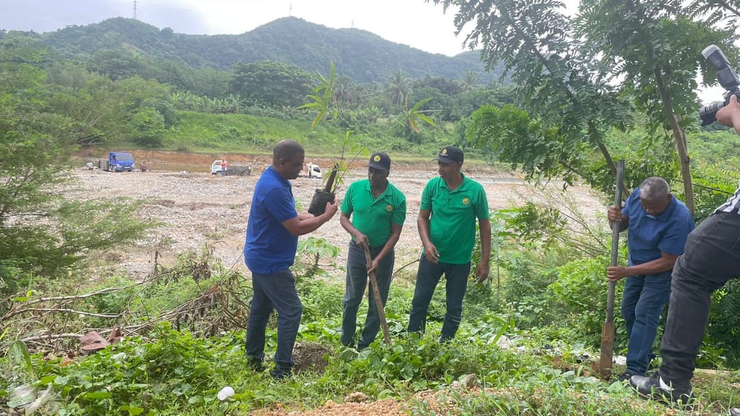 La Cooperativa de Maestros y Funprodecuve unen fuerzas para reforestar el Río Nigua