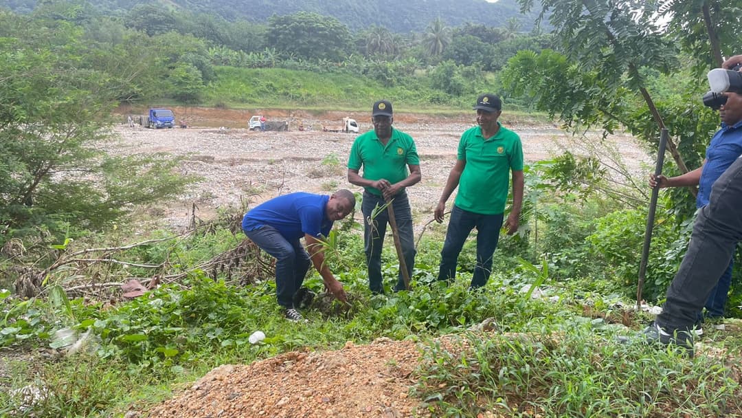 La Cooperativa de Maestros y Funprodecuve unen fuerzas para reforestar el Río Nigua
